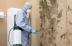 Best Residential Mold Inspection & Testing  in Lincolndale, NY